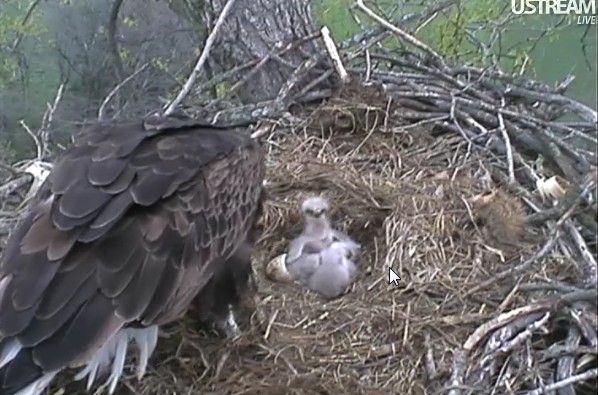 ScreenHunter_23 Mar. 31 12.27.jpg